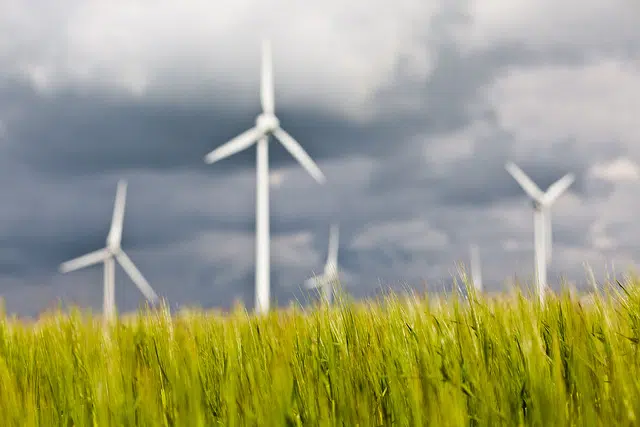Energía renovable vital para el futuro de Jordania y Líbano 1 Energía renovable vital para el futuro de Jordania y Líbano