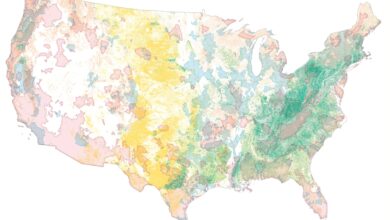 Este es el sitio de conservación más importante de América 8 Este es el sitio de conservación más importante de América