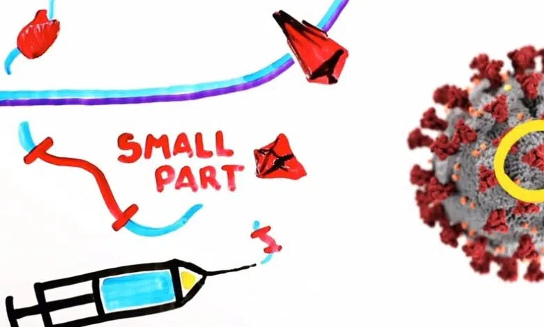 Estos videos podrían mejorar las tasas de vacunación contra el COVID 1 Estos videos podrían mejorar las tasas de vacunación contra el COVID