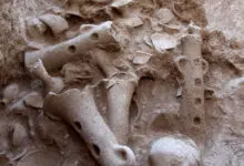 Excavación de gasoducto desentierra vasija de culto de 3.500 años de antigüedad