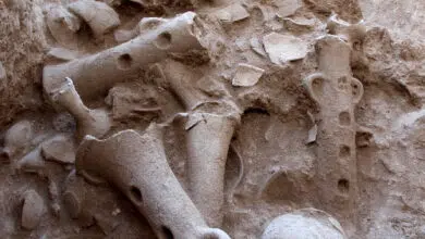 Excavación de gasoducto desentierra vasija de culto de 3.500 años de antigüedad