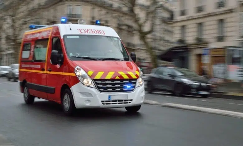 Experimento con cerdos desafía las suposiciones sobre la lesión cerebral humana 1 Experimento con cerdos desafía las suposiciones sobre la lesión cerebral humana