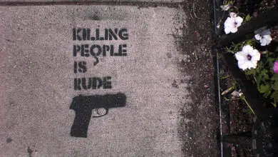 Expertos de la ONU piden leyes más estrictas para proteger el medio ambiente durante la guerra 6 gun-flower-conflict-war-photo