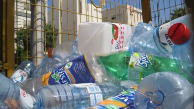 Greenpeace Israel inicia campaña de reciclaje urbano 6 "recycling city israel"