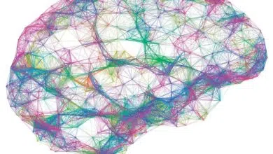 Haces de ultrasonido y jaulas de nanopartículas: hacia una terapia cerebral más específica 9 Haces de ultrasonido y jaulas de nanopartículas: hacia una terapia cerebral más específica