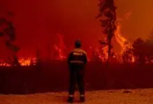 Incendios forestales rompen récords en todo el mundo en 2021