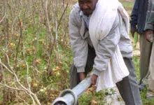 ethiopia irrigation