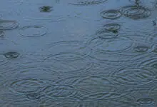 rain water conservation