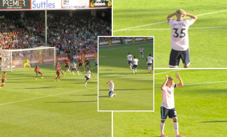 La estrella del Arsenal Aleksandr Zinchenko reacciona conmocionado ante el gol de William Saliba contra el Bournemouth 1 La estrella del Arsenal Aleksandr Zinchenko reacciona conmocionado ante el gol de William Saliba contra el Bournemouth