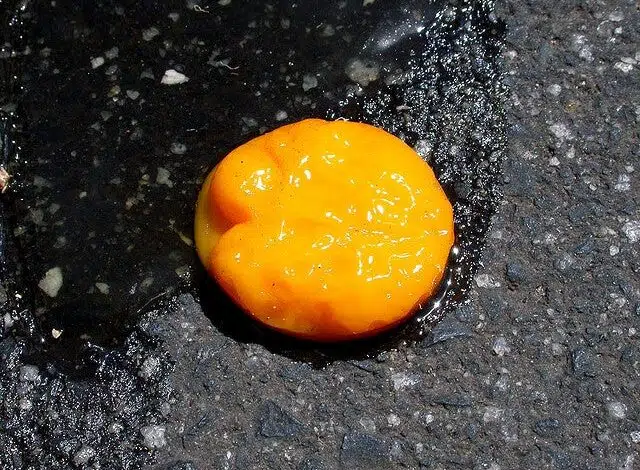 La fiebre asesina se está calentando en todo el mundo 1 La fiebre asesina se está calentando en todo el mundo