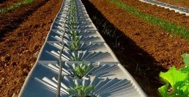 La industria de tecnología limpia de Israel: una visión general 6 La industria de tecnología limpia de Israel: una visión general