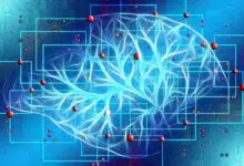 La neurociencia descubre el poder del 'mapeo de redes patológicas'