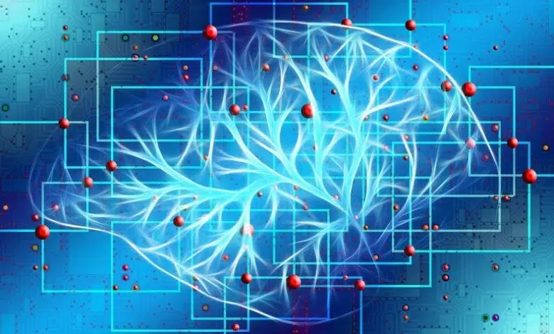 La neurociencia descubre el poder del 'mapeo de redes patológicas' 1 La neurociencia descubre el poder del 'mapeo de redes patológicas'