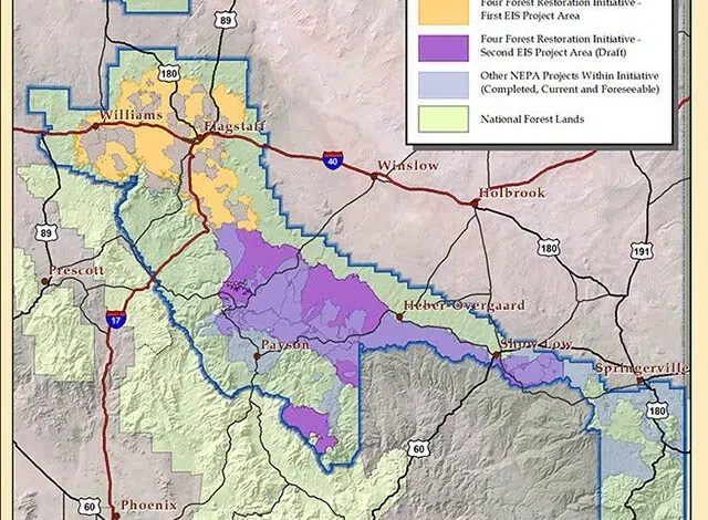 La restauración forestal más grande en la historia de EE. UU. tiene como objetivo reducir los incendios forestales 1 La restauración forestal más grande en la historia de EE. UU. tiene como objetivo reducir los incendios forestales