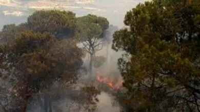 La reunión de la UNESCO en el Líbano destaca el papel de los medios en el cambio ambiental 6 La reunión de la UNESCO en el Líbano destaca el papel de los medios en el cambio ambiental