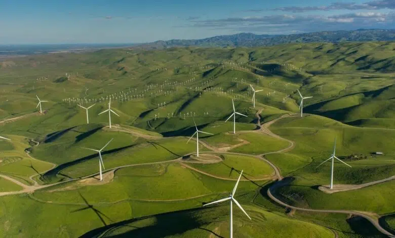 Bombardeo de muerte súbita de roble (SOD) 1 Las energías renovables están proliferando, pero los problemas continúan