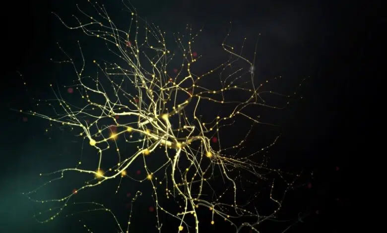 Las grabaciones cerebrales profundas pueden revelar lugares infelices 1 Las grabaciones cerebrales profundas pueden revelar lugares infelices