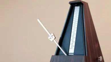 Las neuronas del 'metrónomo' son como cronómetros en el cerebro de los ratones 7 Las neuronas del 'metrónomo' son como cronómetros en el cerebro de los ratones