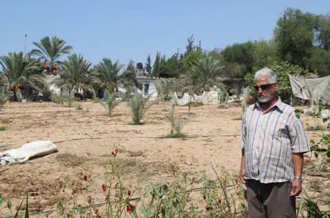 Los agricultores de Gaza luchan contra el aumento de la salinidad y la escasez de agua 1 water-gaza-farmer-salinity