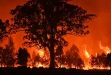 Los incendios forestales en Australia arrojan enormes cantidades de carbono