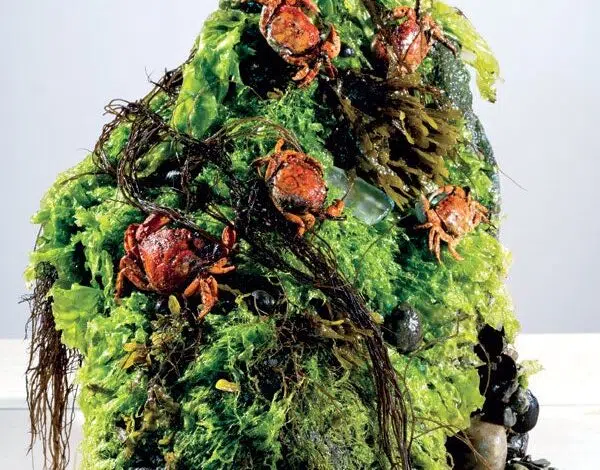 Los mejores chefs comen recetas de especies invasoras 1 Los mejores chefs comen recetas de especies invasoras