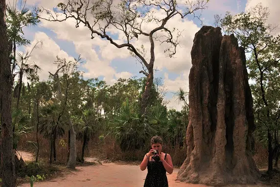 Los montículos de termitas inspiran edificios de energía neutral 1 termite mound, adelaide, biomimicry
