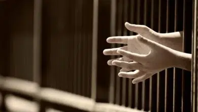 Los neurocientíficos se oponen al confinamiento solitario 6 Los neurocientíficos se oponen al confinamiento solitario