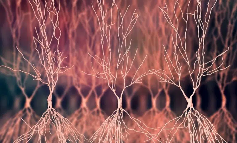 Mejorar la memoria a través de ondas cerebrales 1 Mejorar la memoria a través de ondas cerebrales