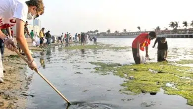 Mil estudiantes exploradores limpian la costa de Jeddah 13 saudi jeddah beach corniche litter clean up