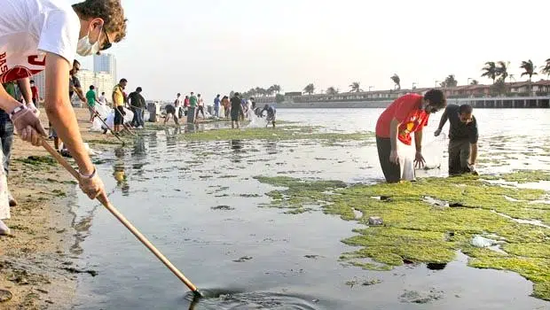 Mil estudiantes exploradores limpian la costa de Jeddah 1 saudi jeddah beach corniche litter clean up