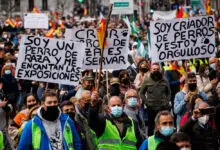 Miles de agricultores protestan contra las políticas agrarias de España