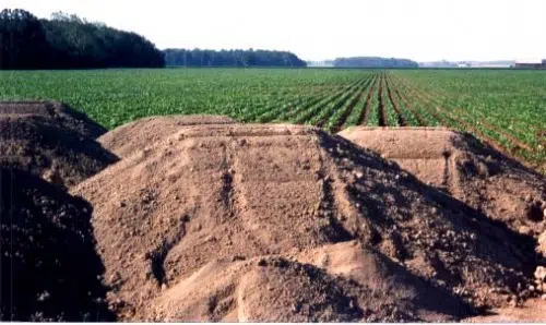 N-Viro International huele lucrativos lodos de depuradora en el centro de Israel 1 N-Viro International huele lucrativos lodos de depuradora en el centro de Israel