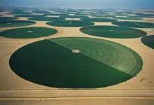 circle crops desert