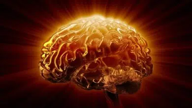 Para los pacientes de Alzheimer, la inflamación cerebral desencadena un 'incendio forestal' que mata las neuronas