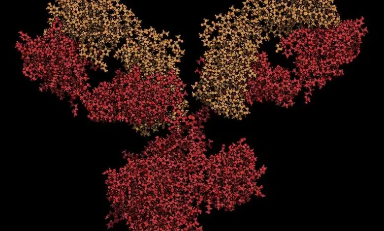 Por qué las terapias de anticuerpos monoclonales contra la COVID no están a la altura de las expectativas 1 Por qué las terapias de anticuerpos monoclonales contra la COVID no están a la altura de las expectativas