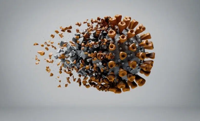 Tu sistema inmunológico evoluciona para combatir las mutaciones del coronavirus 1 Tu sistema inmunológico evoluciona para combatir las mutaciones del coronavirus