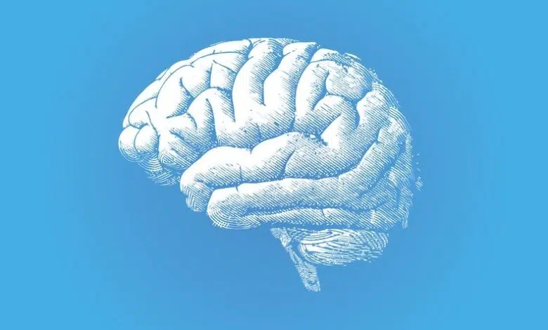 Un método de resonancia magnética más rápido puede transformar las imágenes cerebrales 1 Un método de resonancia magnética más rápido puede transformar las imágenes cerebrales