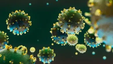 Vacuna 'universal' contra el coronavirus para prevenir la próxima pandemia 8 Vacuna 'universal' contra el coronavirus para prevenir la próxima pandemia