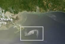 ¿Culpa a BP por el derrame masivo de petróleo en el Golfo de México?