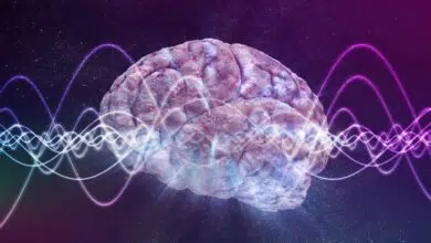 ¿Las ondas cerebrales realizan actividad neuronal como una sinfonía?
