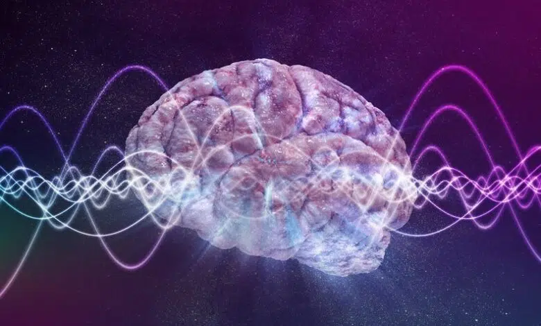 ¿Las ondas cerebrales realizan actividad neuronal como una sinfonía? 1 ¿Las ondas cerebrales realizan actividad neuronal como una sinfonía?