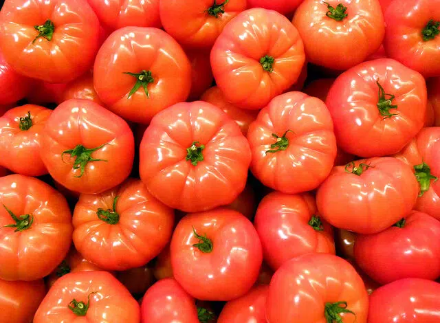 ¿Pueden los alimentos transgénicos ser "halal"? ¿O kosher? 1 ¿Pueden los alimentos transgénicos ser "halal"? ¿O kosher?