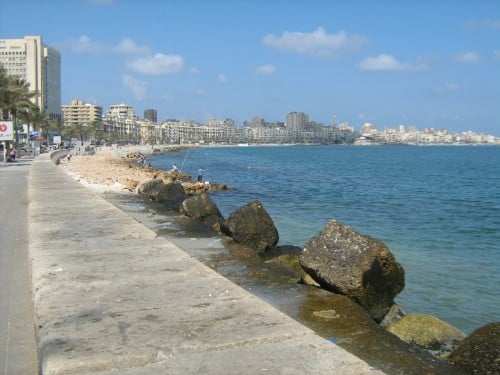 ¿Serán los días de Alejandría soleados (y más verdes)? 1 ¿Serán los días de Alejandría soleados (y más verdes)?