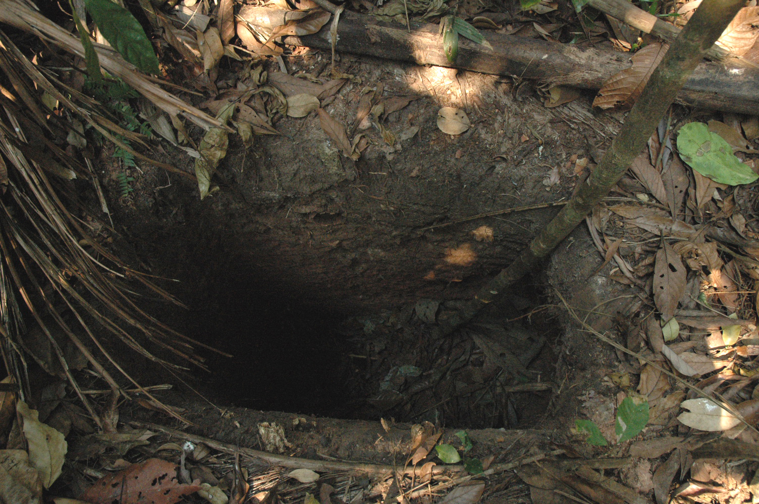 El último miembro de la tribu intacta 'Man in the Hole' muere en el Amazonas 2 Uno de los muchos pozos profundos excavados por los hombres.