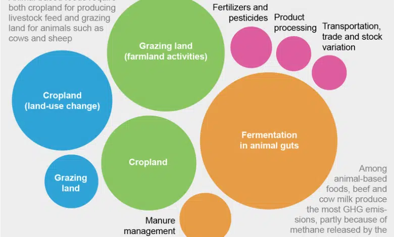Así es como los alimentos contribuyen al cambio climático 1 Así es como los alimentos contribuyen al cambio climático