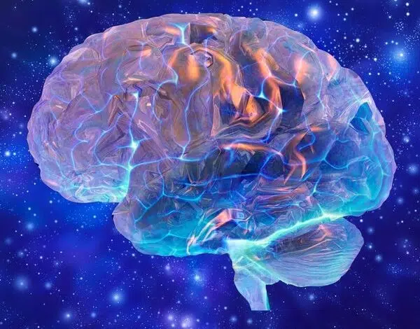 La ciencia del cerebro escala el monte Everest de la sabiduría... 1 La ciencia del cerebro escala el monte Everest de la sabiduría...