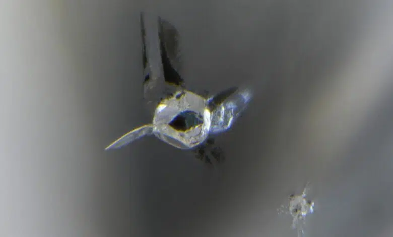 Diamante raro sugiere que el agua está mucho más profunda dentro de la Tierra de lo que pensaban los científicos 1 Mineral inclusion in a diamond, containing ringwoodite, enstatite and ferropericlase.