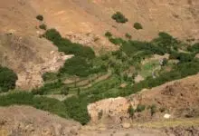 sustainable agriculture, Morocco, eco-tourism