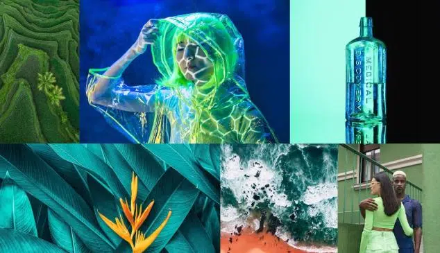 Colores de Shutterstock de 2022 1 Colores de Shutterstock de 2022