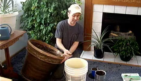 Compostaje en el salón 1 image-composting-indoors